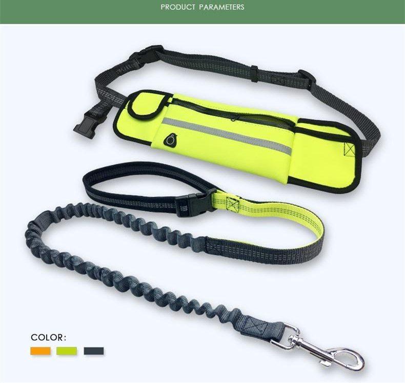 Bungee Dog Leash with No Hands