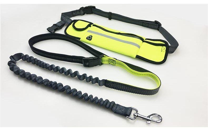 Bungee Dog Leash with No Hands