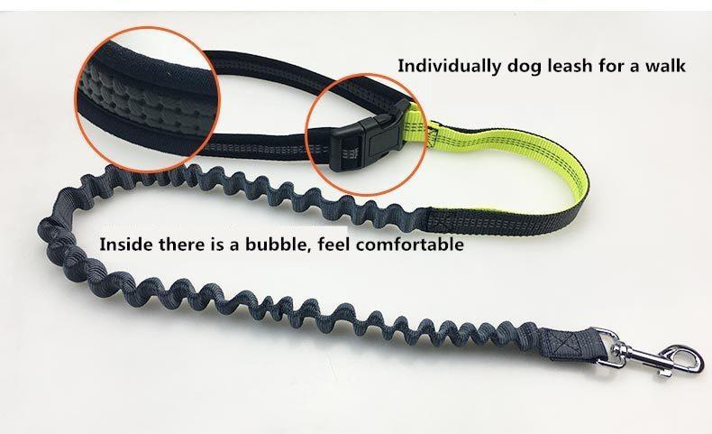 Bungee Dog Leash with No Hands